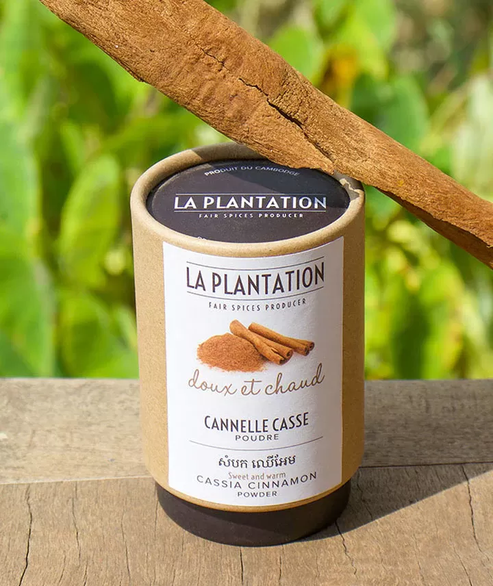 Cannelle casse en poudre
